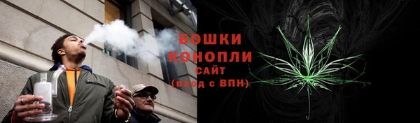 метадон Белокуриха